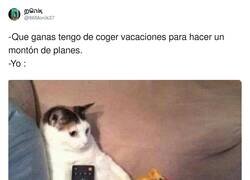 Enlace a Resumen de mis vacaciones, por @86Monik37