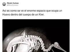 Enlace a Qué cosilla da, por @RincnCuriosoo