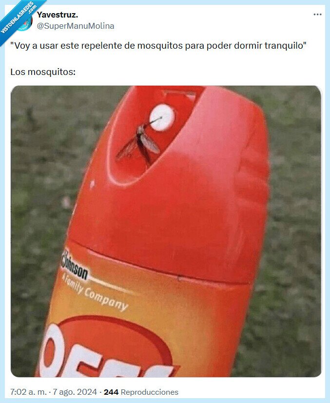 dormir,mosquitos