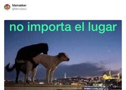 Enlace a Bonita declaración de amor, por @Memakker