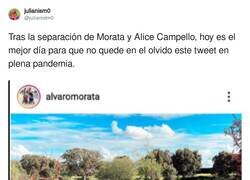 Enlace a Lo recuerdo perfectamente, la casa con lago de Morata, por @julianistm0