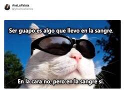 Enlace a Algo es algo, por @ymuchosmemes