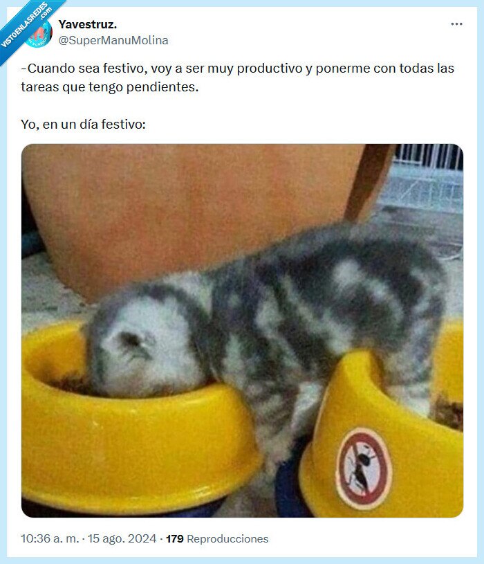festivo,día,productivo