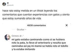 Enlace a Qué grandes son los michis, por @palanttt