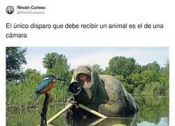 Enlace a AMÉN, por @RincnCuriosoo