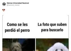 Enlace a Así no lo vais a encontrar, por @nacional_memes
