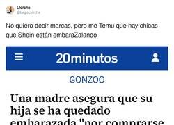 Enlace a EmbaraZalando, por @LegoLlorchs