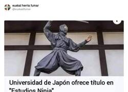 Enlace a Qué rápido aprenden, por @euskadifumar