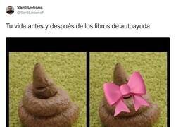 Enlace a La misma mi*rda pero decorada, por @SantiLiebanaR