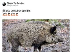 Enlace a Yo en bici no me he encontrado, pero jabalís en patinete sí, por @LaGentesTonta