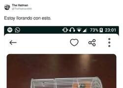 Enlace a Jaula ganster, por @TheHatman666