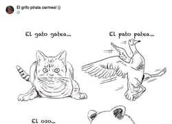 Enlace a El oso pijo, por @ErigolDelViento