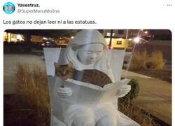 Enlace a De piedra se ha quedado por @supermanumolina