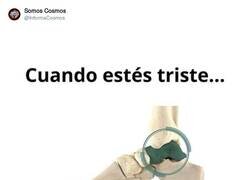 Enlace a Gracias por tanto, astrágalo, por @InformaCosmos