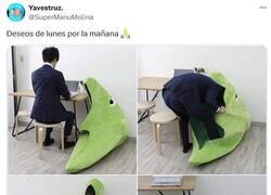 Enlace a Me voy preparando para mañana taparme con el Metapod, por @supermanumolina