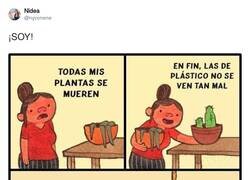 Enlace a ¡SOY!, por @nyconene