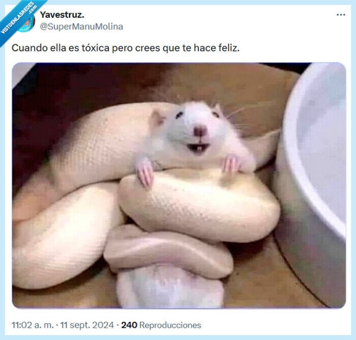 relación,tóxica,feliz