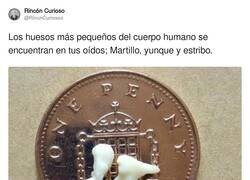 Enlace a Parecen piezas de un Kinder Sorpresa, por @RincnCuriosoo