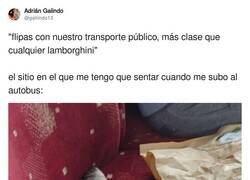 Enlace a Qué clase de cerdos usan el transporte público, por @galiindo13