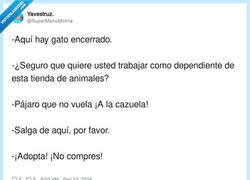 Enlace a La cosa va de cliches, por @SuperManuMolina