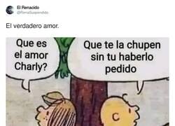 Enlace a Vaya cómo ha cambiado Snoopy, por @RenaSuspendido