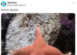 Enlace a Ha estado haciendo sentadillas por @supermanumolina