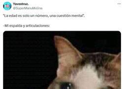 Enlace a Lo que tú digas por @supermanumolina