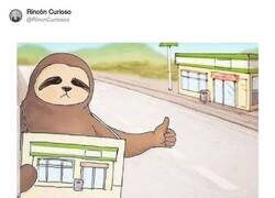 Enlace a Para él es un gran trayecto, por @RincnCuriosoo