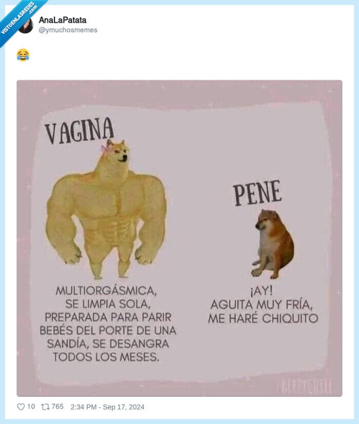 vagina,pepe,doge,cheems