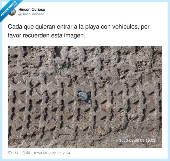 vehículos,tortuga,playa,marca