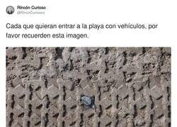 Enlace a Nunca lo había pensado así, por @RincnCuriosoo