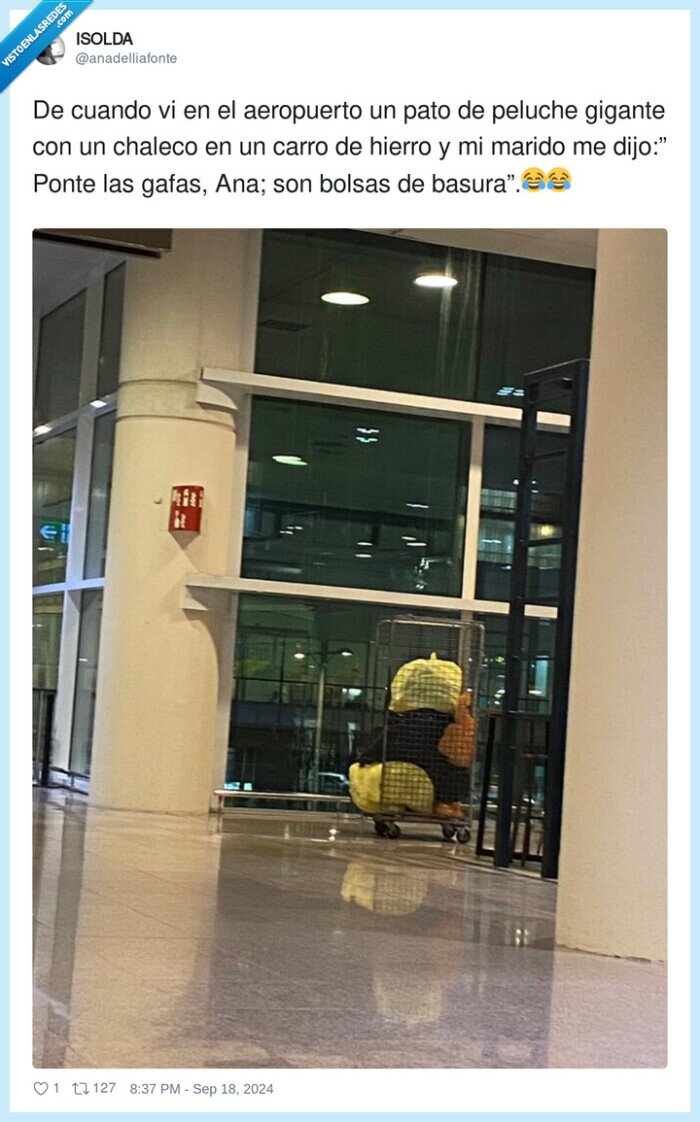 basuras,bolsas,pollo