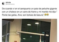 Enlace a Yo también he visto un pollito, por @anadelliafonte