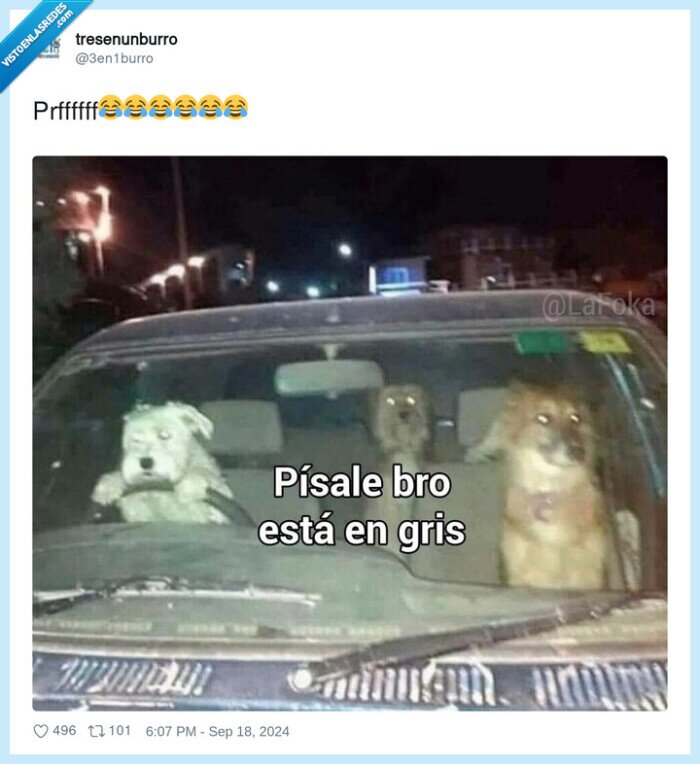 pisarle,coche,bro,gris,semaforo,perros