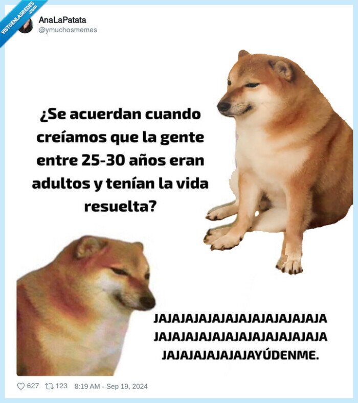 cheems,vida resuelta