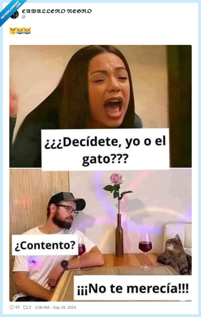 decidirse,novia,gato