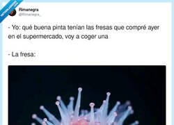 Enlace a Las fresas a los dos segundos de estar en la nevera, por @Rimanegra_