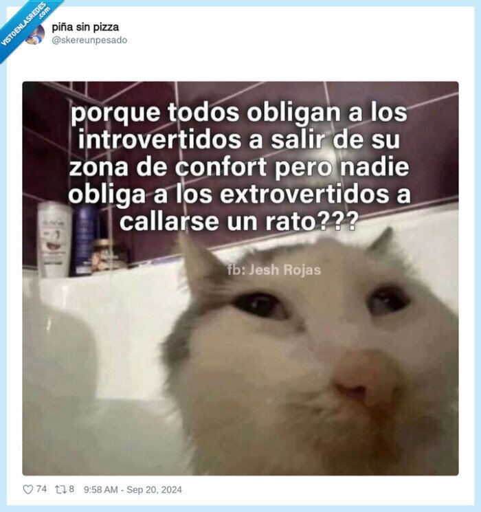 introvertido,extrovertido,personas,callarse,zona de confort