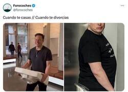 Enlace a Fases de la vida, por @forocoches