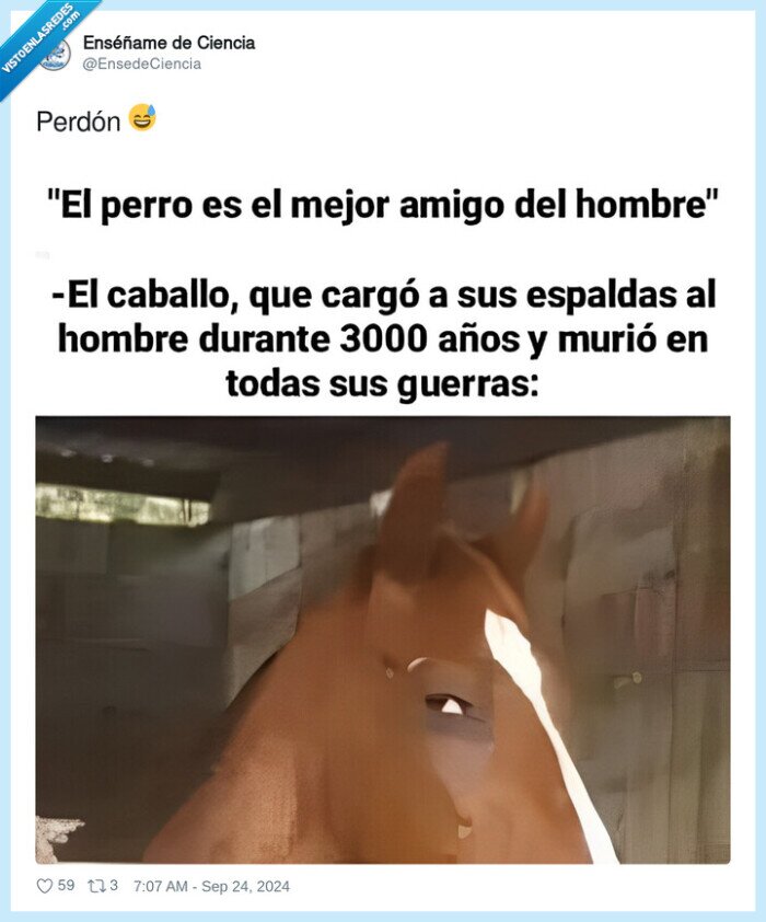 amigo,hombre,perro,caballo