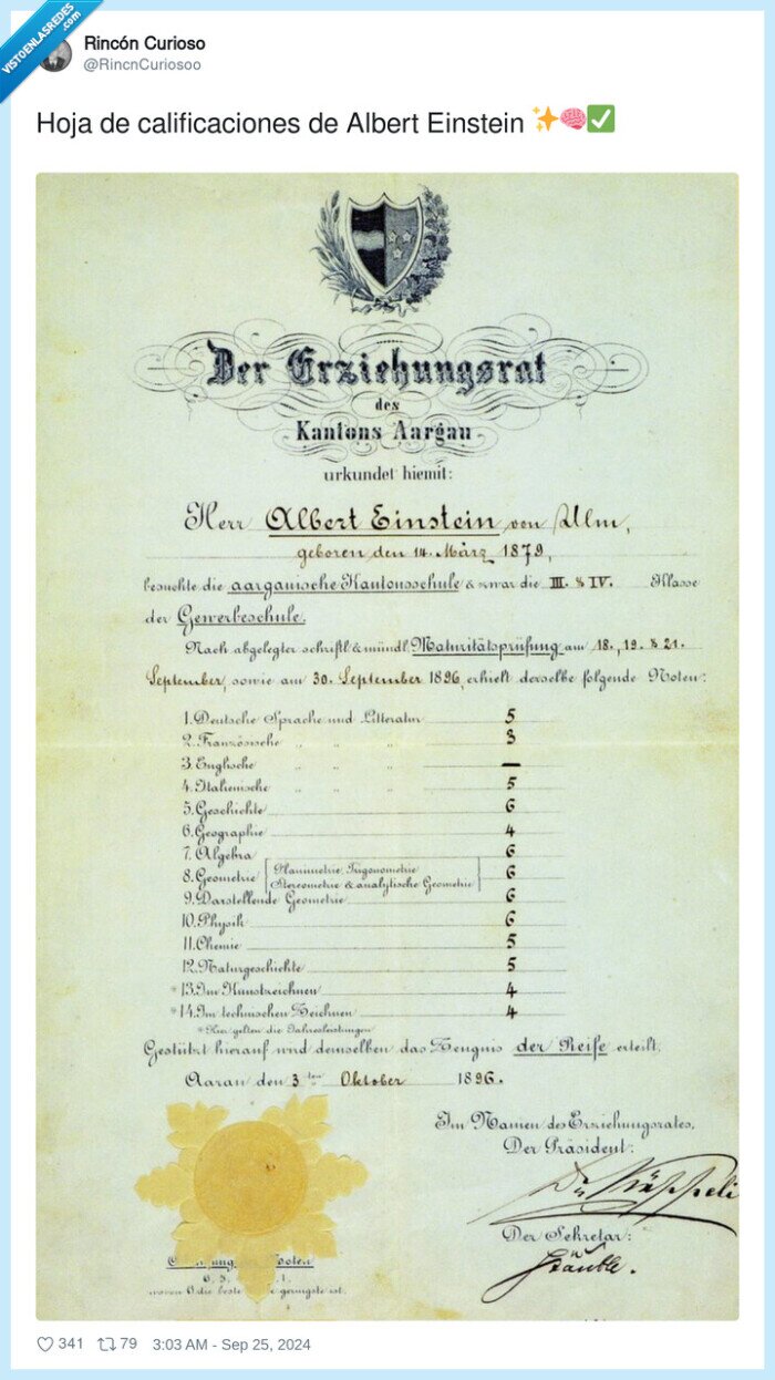 notas,einstein