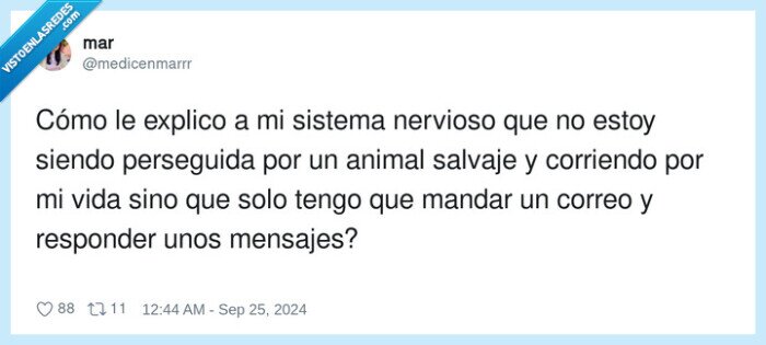 responder,nervios,mensajes,sistema nervioso