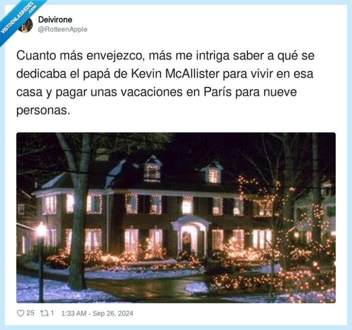 solo en casa,vacaciones,mcallister,intriga