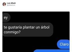 Enlace a Qué tirada de ficha más buena, por @allfadirluis
