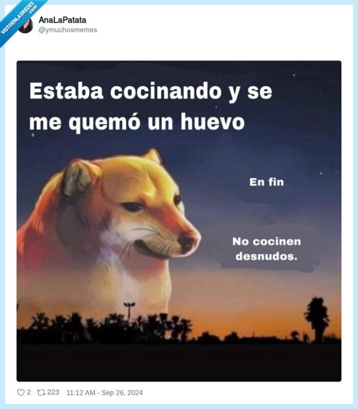 doge,cheems,cocinar,desnudo,huevo
