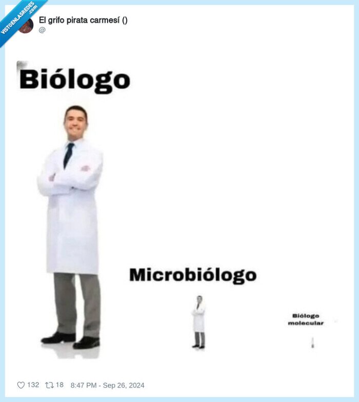 biologo,microbiologo,biologo molecular