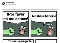 Enlace a BASTA YA, por @ymuchosmemes