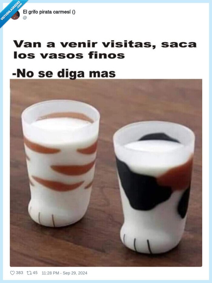 patas,tazas,gato,vajilla