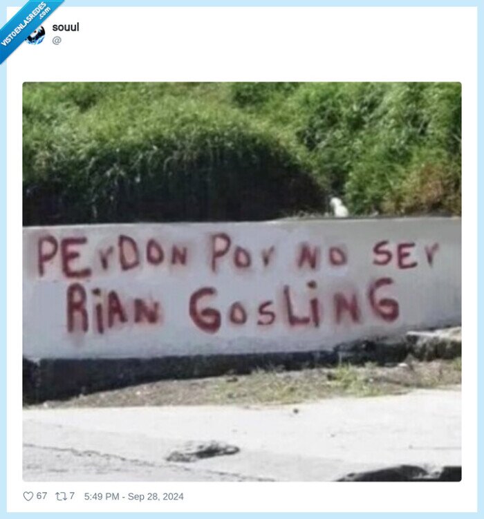 perdon,pintada,ryan gosling