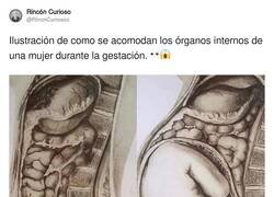 Enlace a El cuerpo humano es una máquina perfecta, por @RincnCuriosoo